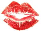 alles is liefde